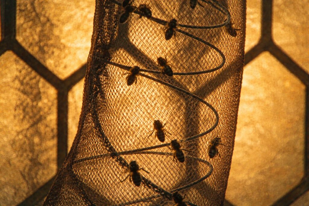 タイトルモチーフ「ミツバチ/蜂の巣」を読み解く|働きバチ・女王蜂のメタファー